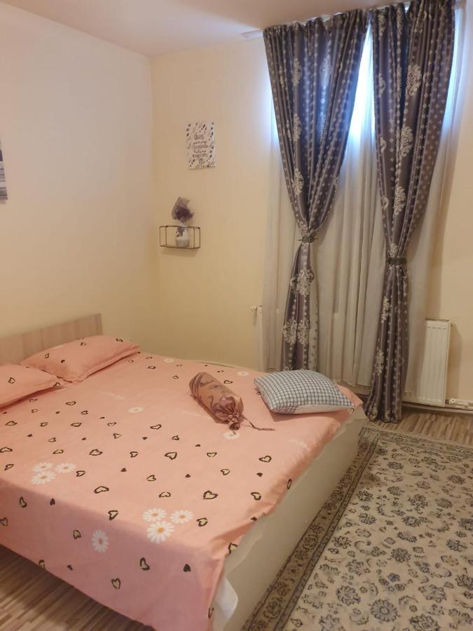 מלון חונדוארה Relax Haus מראה חיצוני תמונה